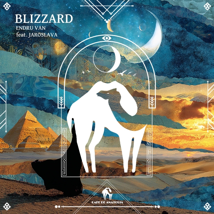 Blizzard cover art